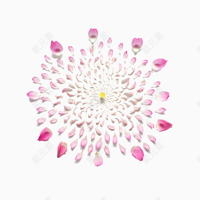 摆放好花瓣