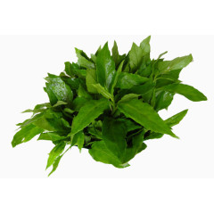 一捆富贵菜