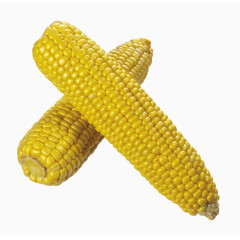 两个营养玉米