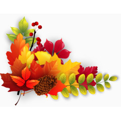 秋天枫叶松果黄叶