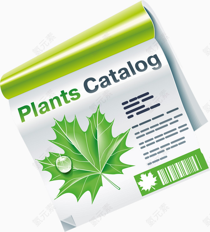 植物目录