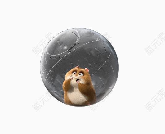 可爱松鼠