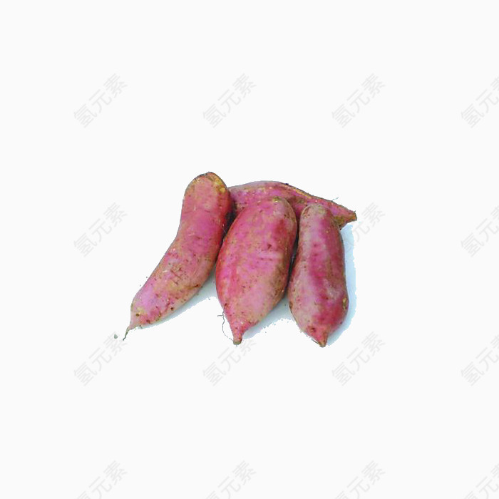 美味消化