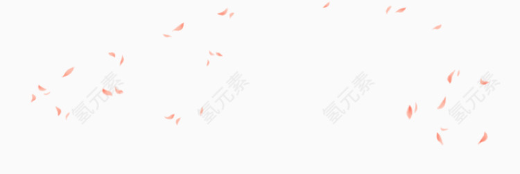 飘浮粉色玫瑰花瓣花朵