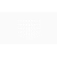 白色亮点 五点合一效果图