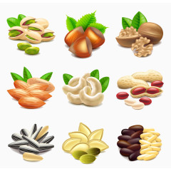 卡通干果