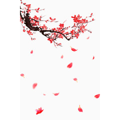 古风红色梅花和漂落的花瓣