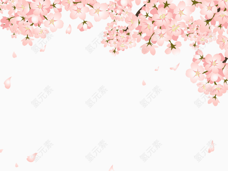 漂亮落的桃花
