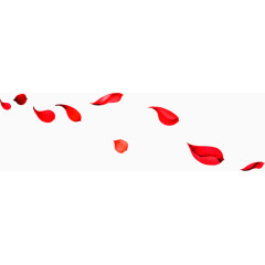 飘零红色玫瑰花瓣