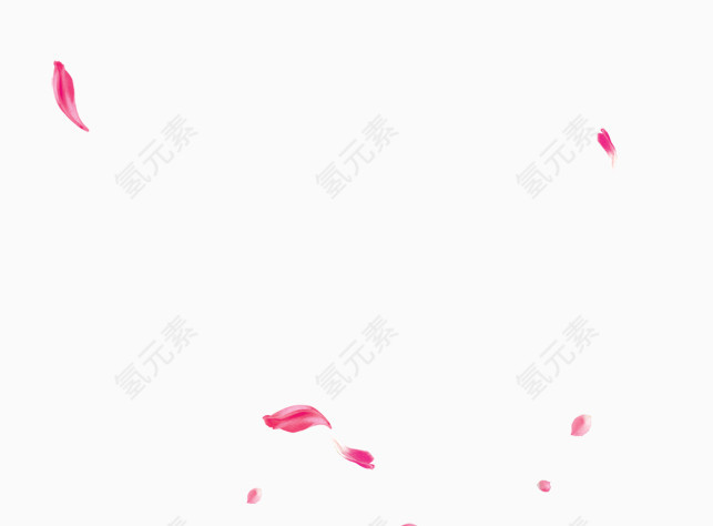 花瓣