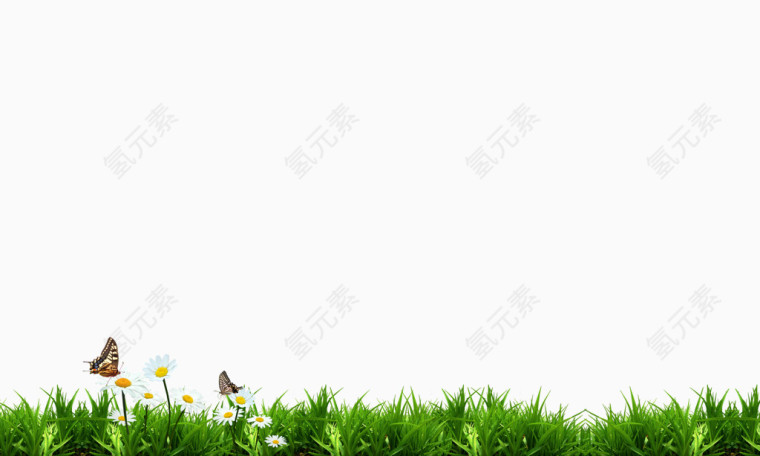 草地