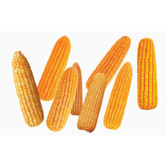玉米健康食品