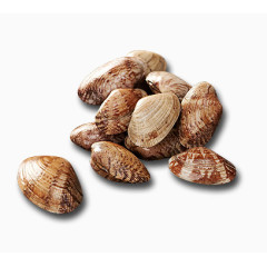 食物海鲜花蛤图