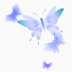 蓝色蝴蝶飞