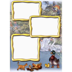 动画背景金色边框