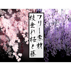 樱花 花朵 装饰