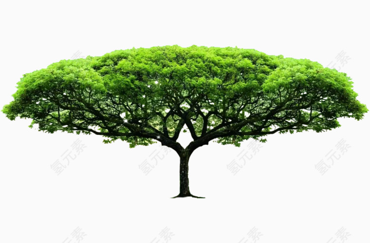 特殊造型绿色树木植树节元素
