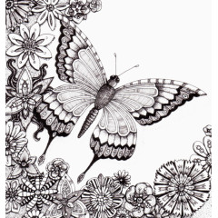 精致的手绘蝴蝶