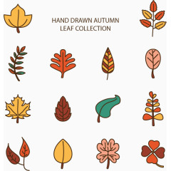 秋天树叶枫叶黄色矢量