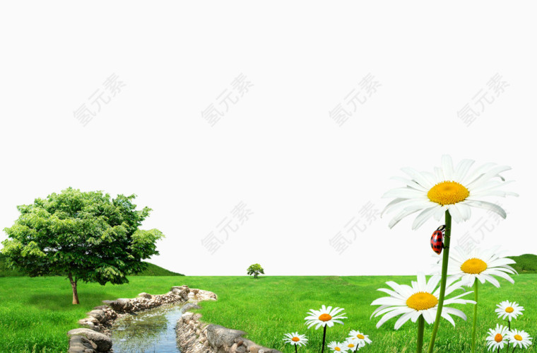 绿色草坪