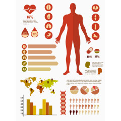 矢量医疗信息图