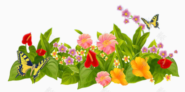 花园小花丛