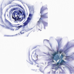 两朵浅紫色鲜花