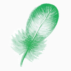 矢量绿色羽毛彩绘