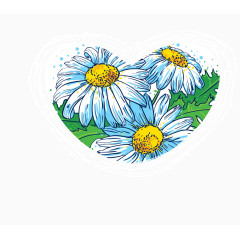 矢量手绘小雏菊