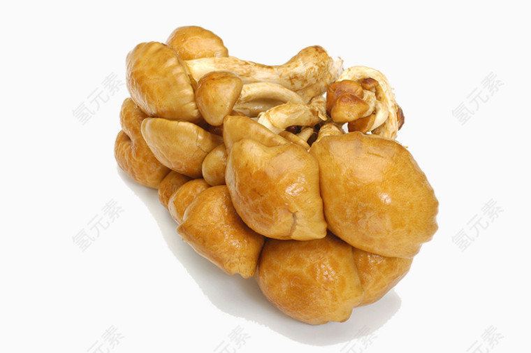 新鲜野山菌菇