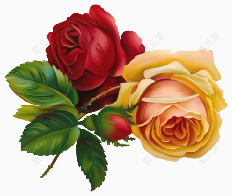 手绘卡通鲜花月季玫瑰