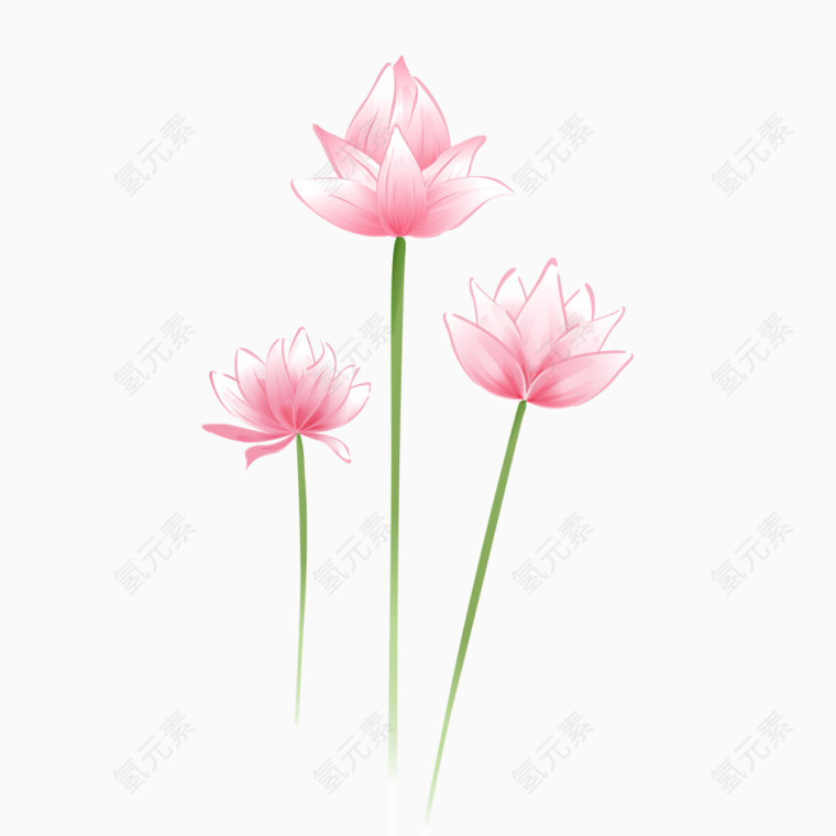 粉色的鲜艳花朵