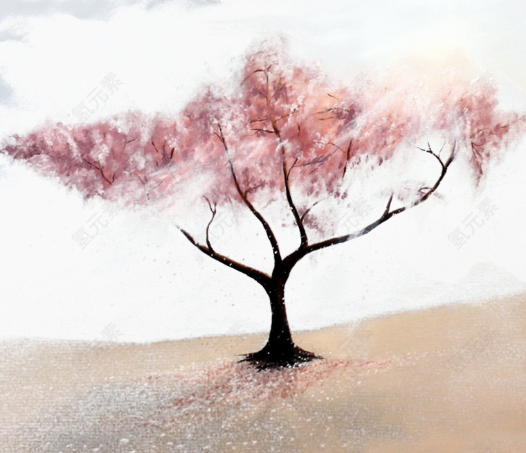 一棵落满花瓣的樱花树