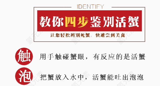淘宝通用详情页设计
