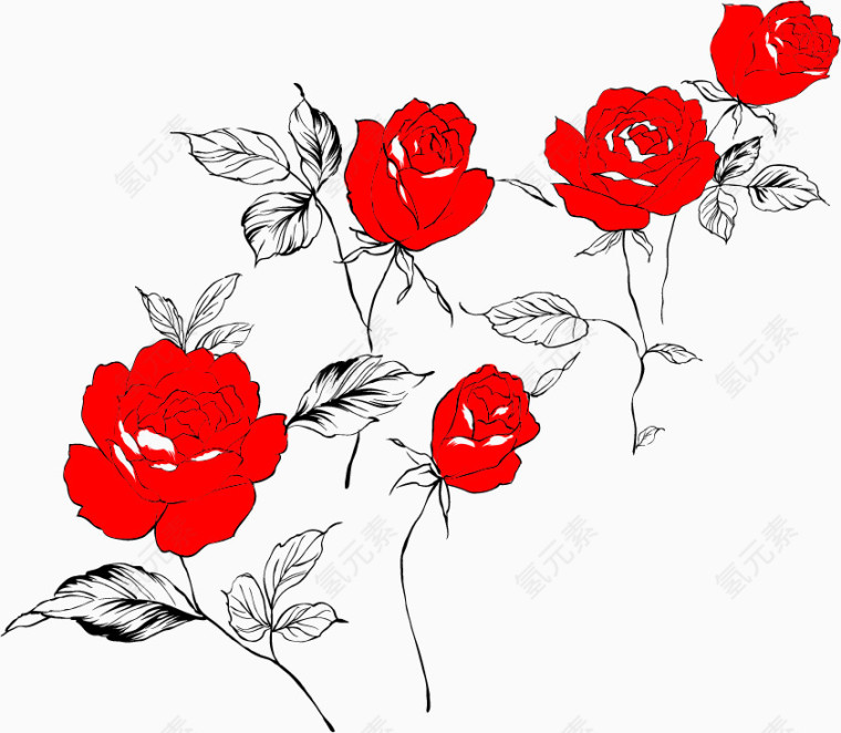 矢量花卉图案