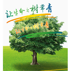 环保海报背景效果