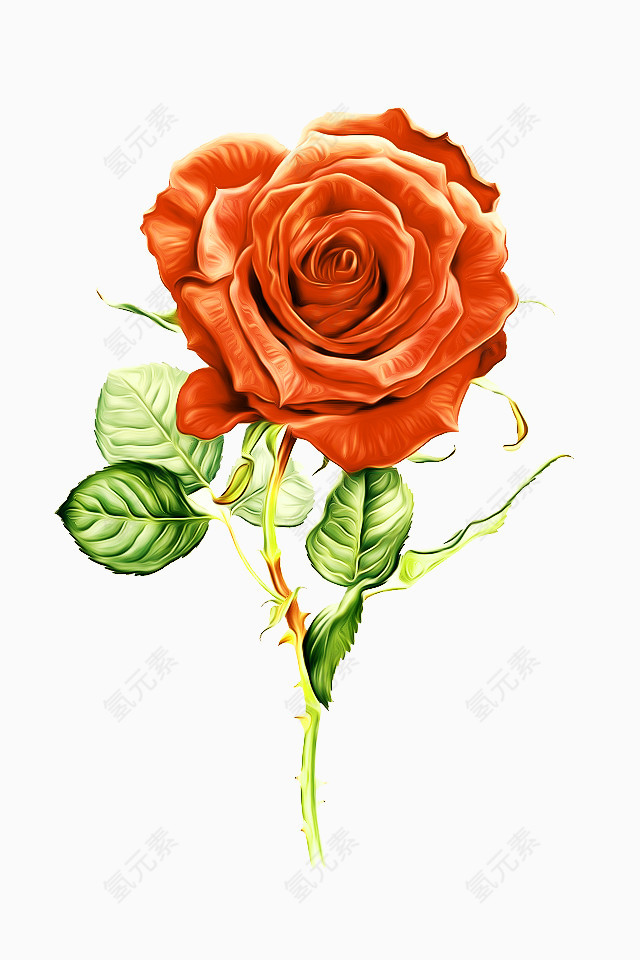 玫瑰花