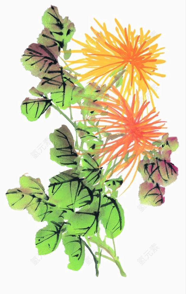 写意菊花