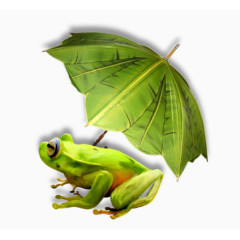 手绘绿色青蛙雨伞