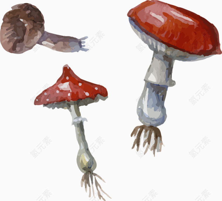 矢量蘑菇