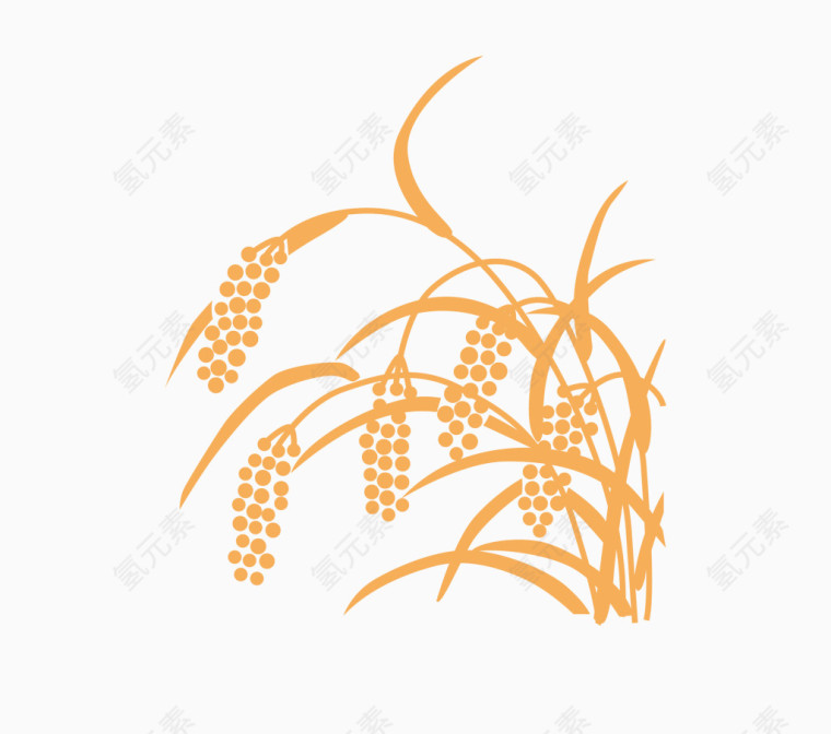 金黄的麦穗矢量素材