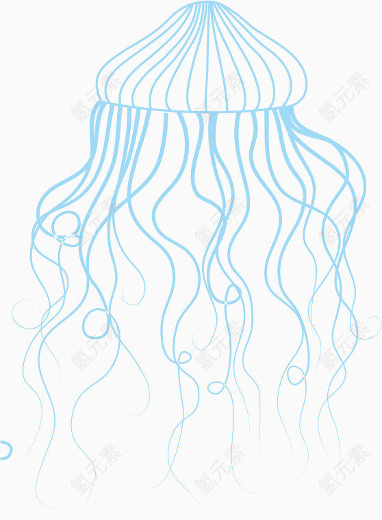 水母