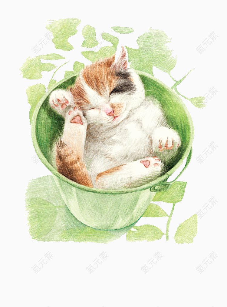 花盆里的猫咪
