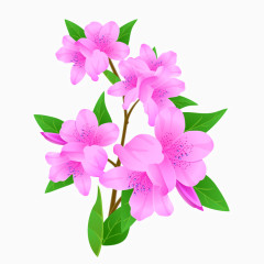 鲜艳的紫色花束