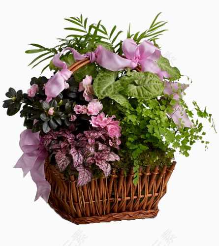花朵花篮