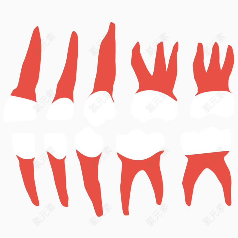 矢量卡通红色牙齿