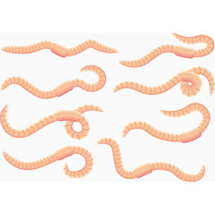 蚯蚓矢量卡通蠕虫