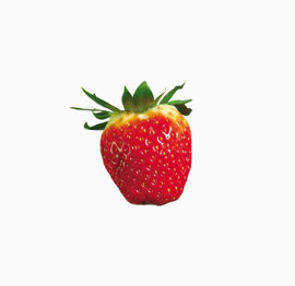 水果草莓