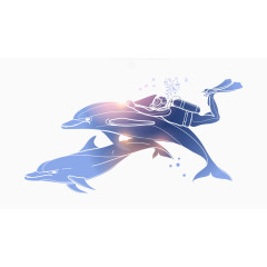海豚与潜水员