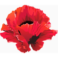矢量红色花朵